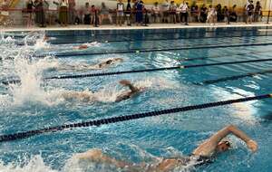 6a4296c85e898_73129268914371386851225307504844047810395162n.jpg