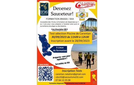 Formation au BNSSA